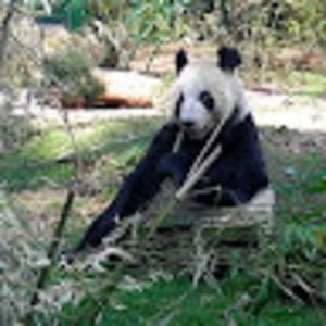 Meet your Posher, Christian